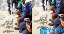 唐诗在加拿大火了 详情经过曝光真是与有荣焉