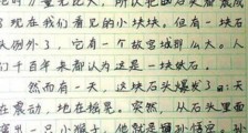 历史乱套了原文是什么 五年级学生神级作文征服众多网友