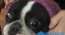 小时候爸妈帮你穿衣服的感觉 父母的唠叨是最温暖的牵挂