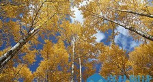 描写秋天景色优美句子分享,秋天写作素材大全