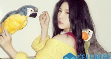 对女生表白的话有哪些?如何表白成功率能显著提高?