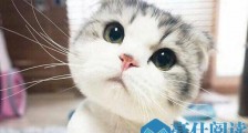 可爱又特别撩的小句子分享, 恋爱时最适合发那些?