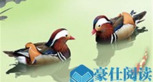 前世今生测试,一个小题目测出前世关系【恋爱技巧】