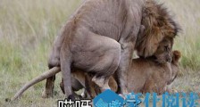 十二星座女谁经验最丰富【恋爱技巧】