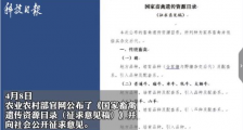 狗为伴侣动物拟禁食 具体什么情况?原因是什么?