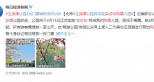 玉渊潭实名制购票 原因是什么?具体什么情况?