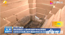 国内所见最早单体金银骆驼 具体什么情况?