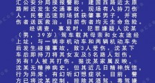 上海建国西路砍人事件通报:男子撞伤3人划伤6人打伤1人
