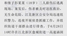南京江北持刀伤人事件:男子砍伤妻子、继子 已被抓获