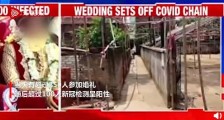 印度男子高烧办婚礼过百宾客新冠阳性 新郎2天后去世