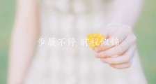 河北省教育考试院官网 2020年河北高考成绩查询入口