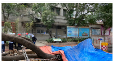 广州东晓南路地陷 地点在哪?具体什么情况?【图】