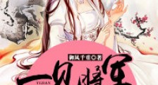 一见将军终身误