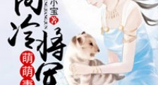 高冷将军萌萌妻