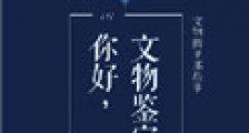 你好,文物鉴定师