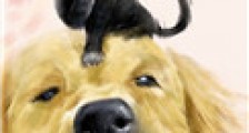 穿成猫后靠玄学爆红