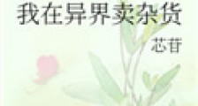 我在异界卖杂货