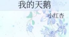 我的天鹅(如何让暗恋的人向我表白)