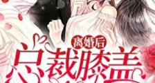 离婚后,总裁膝盖跪碎了