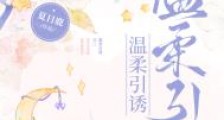 温柔引诱