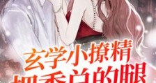 玄学小撩精把季总的腿都撩软了