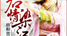 君情染江山