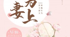 宠妻为上
