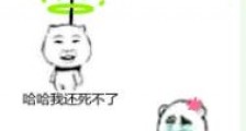 沙雕师尊每天担心我挂掉