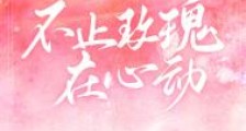 不止玫瑰在心动