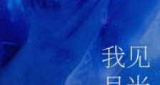 我见月光