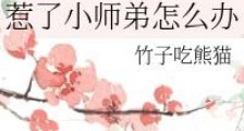 惹了小师弟怎么办