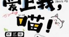 霸道野猫爱上我,喵!