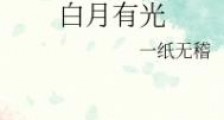 白月有光