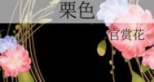 栗色