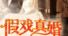 假戏真婚(高干)