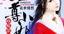 峥嵘韶华之至尊小姐