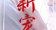 新宠