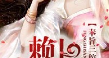奉旨三嫁,赖上神秘王妃
