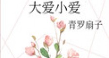 大爱小爱