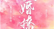以婚撩人