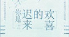 你是迟来的欢喜