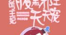 乞丐王妃:腹黑邪王天天宠