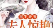 重生狂妻:夫人惊艳了全球