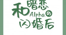 和暗恋的Alpha闪婚后