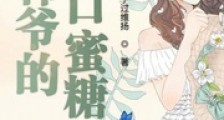 韩爷的可口蜜糖