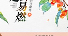 爱是澎湃易燃