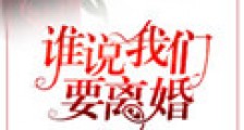 谁说我们要离婚