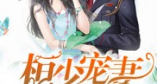 重生九零:桓少宠妻实录