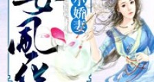 帝女风华:狼王的小娇妻