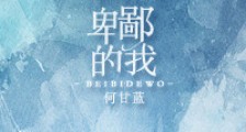 卑鄙的我